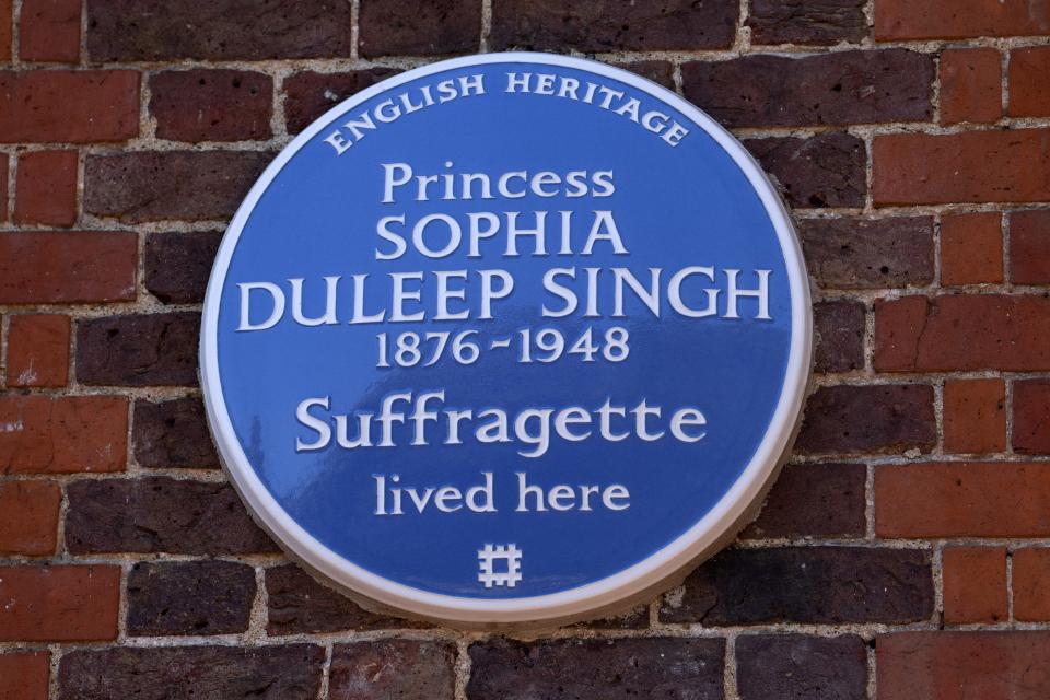 princess sophia plaque