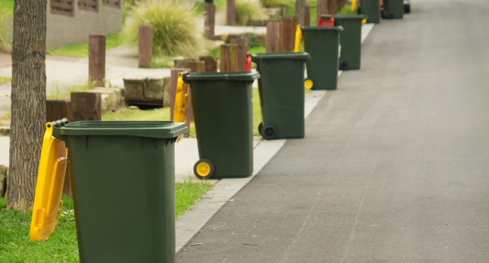 Wheelie bins on the street for collection. Source: Getty