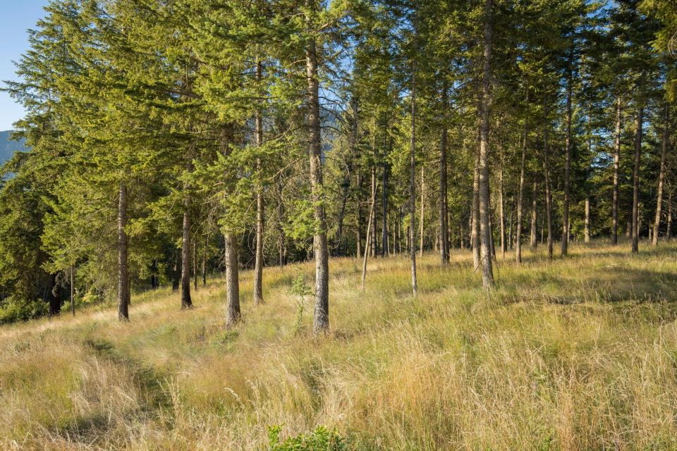 Farragut State Park, Idaho