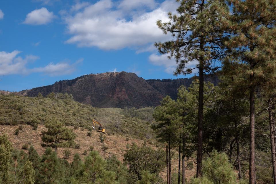 A masticator thins/treats an area in the Dude Fire burn scar in the Tonto National Forest northeast of Payson, Ariz., on Oct. 26, 2023.