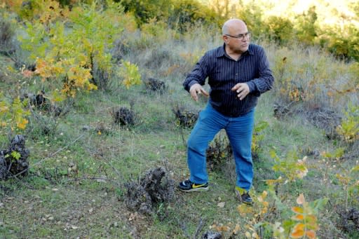 Farmer and mayor Christodoulos Orphanides says the mouflon eat the carefully cultivated grapes in vineyards