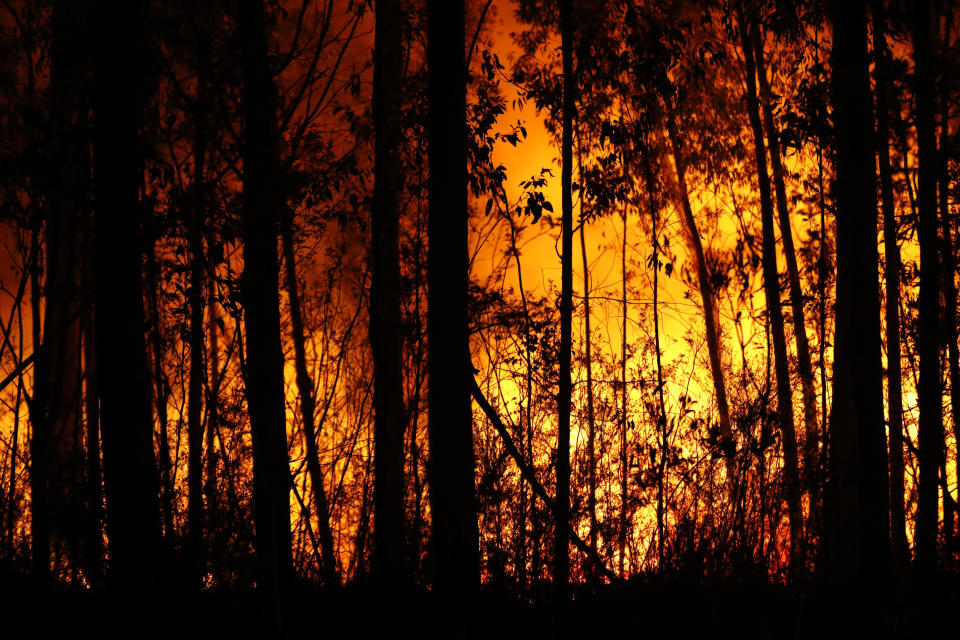 DEVASTACIÓN POR INCENDIOS EN AUSTRALIA