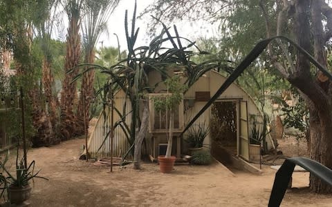 The Cactarium - Credit: Alice Vincent