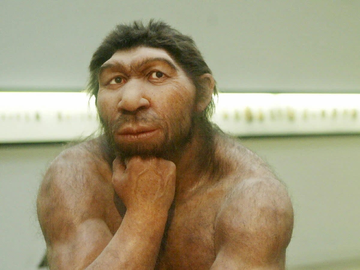 A reconstruction of a Neanderthal man at the Prehistoric Museum in Halle, eastern Germany (SEBASTIAN WILLNOW/AFP/Getty Images)