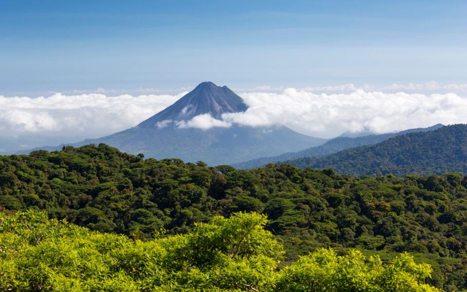 Costa Rican forest - CHAPUT Franck/Getty Images