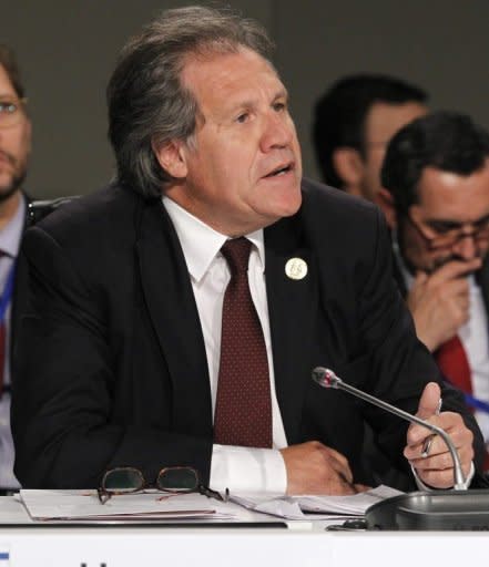 Los cancilleres uruguayo, Luis Almagro, y venezolano, Elías Jaua, revisaron este sábado en Caracas los acuerdos de cooperación bilateral en áreas de migración y comercio, entre otros, y prepararon el traspaso de la presidencia pro témpore del Mercosur a Venezuela en junio próximo. (AFP | J.J. Guillen)