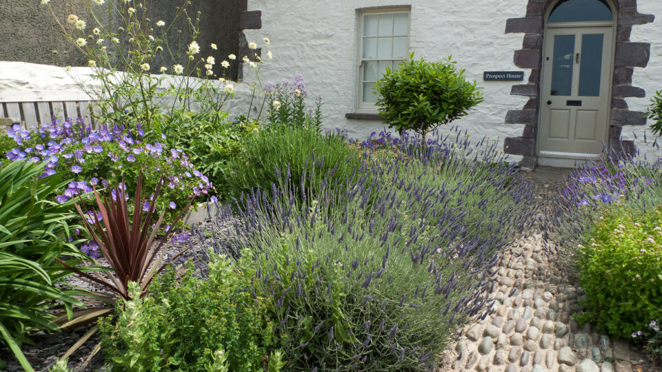 Discover the best front yard plants for plots of all sizes and transform the entrance to your home with ideas for year-round appeal