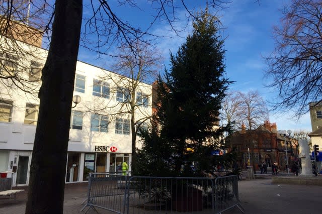 Tower of Pisa Christmas tree removed from town centre over safety fears