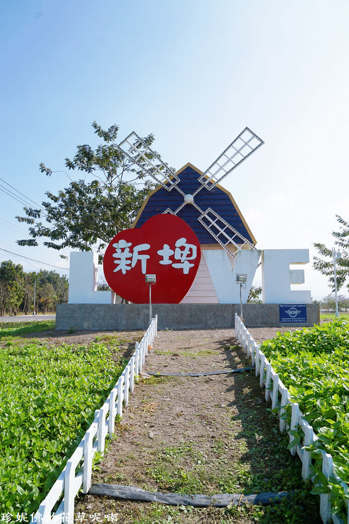 屏東新埤鄉綜合休閒公園｜向日葵花海