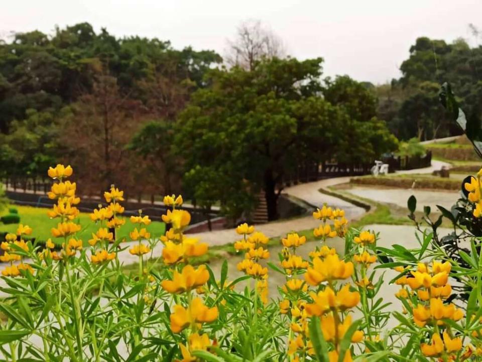 （圖片來源：台北市政府工務局公園路燈工程管理處）