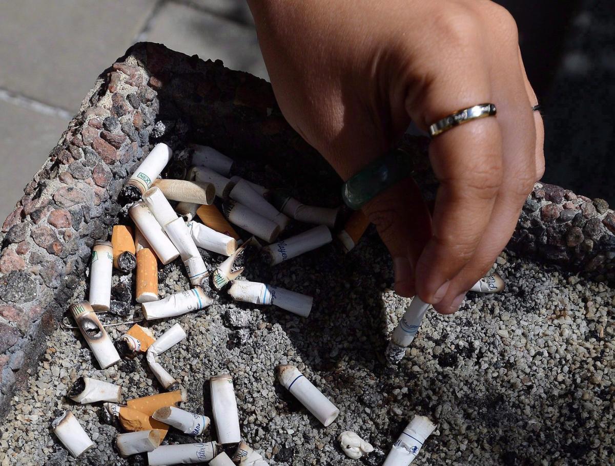 No changes promised to outdated tobacco law despite unflattering internal review