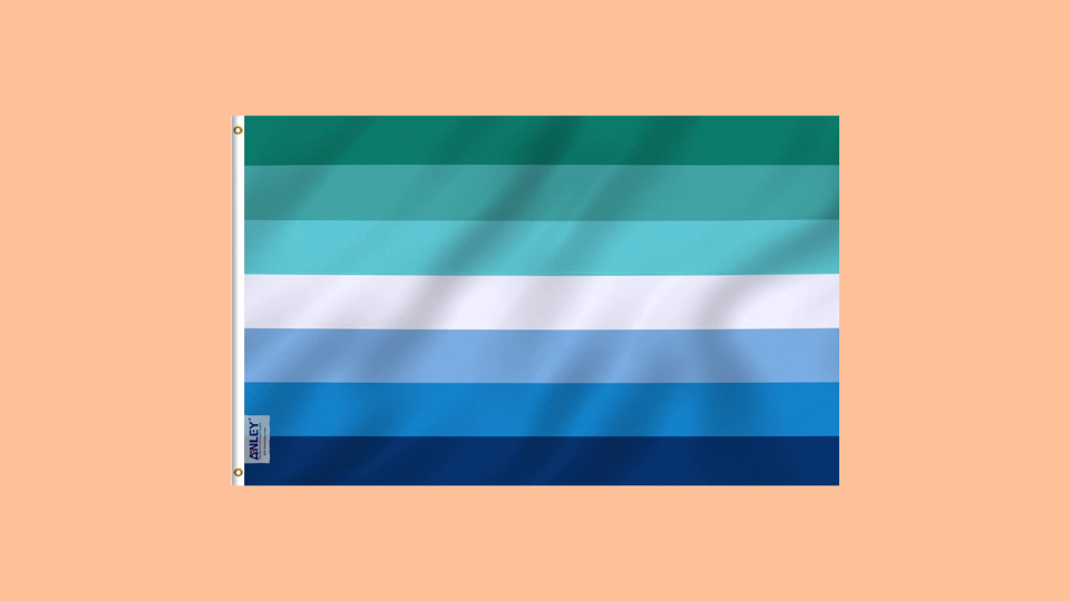 Gay flag