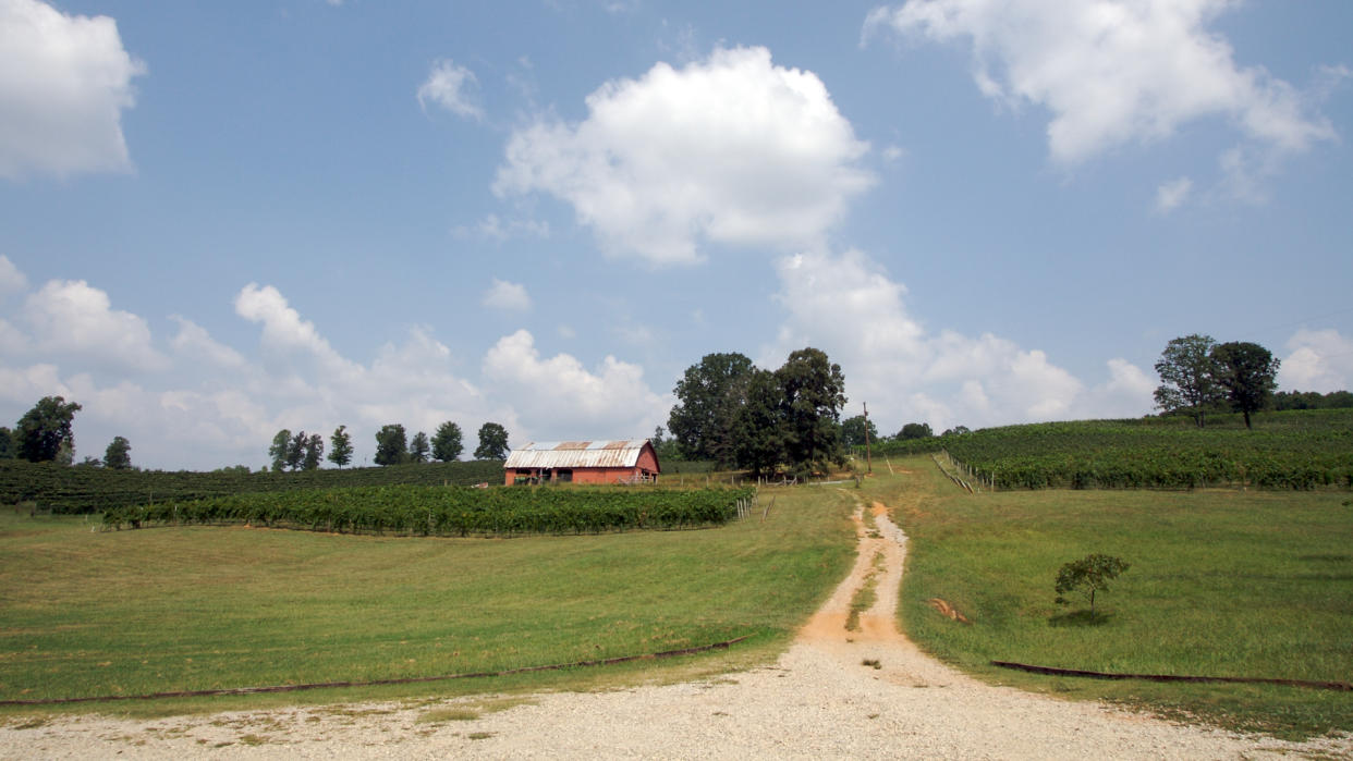 Winery in Paradise in Dahlonega Georgia - Image.