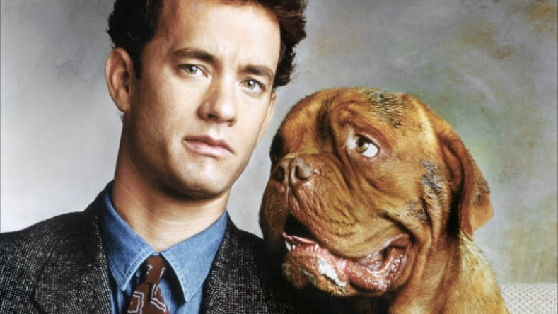 'Turner and Hooch'. (Credit: Buena Vista Pictures)