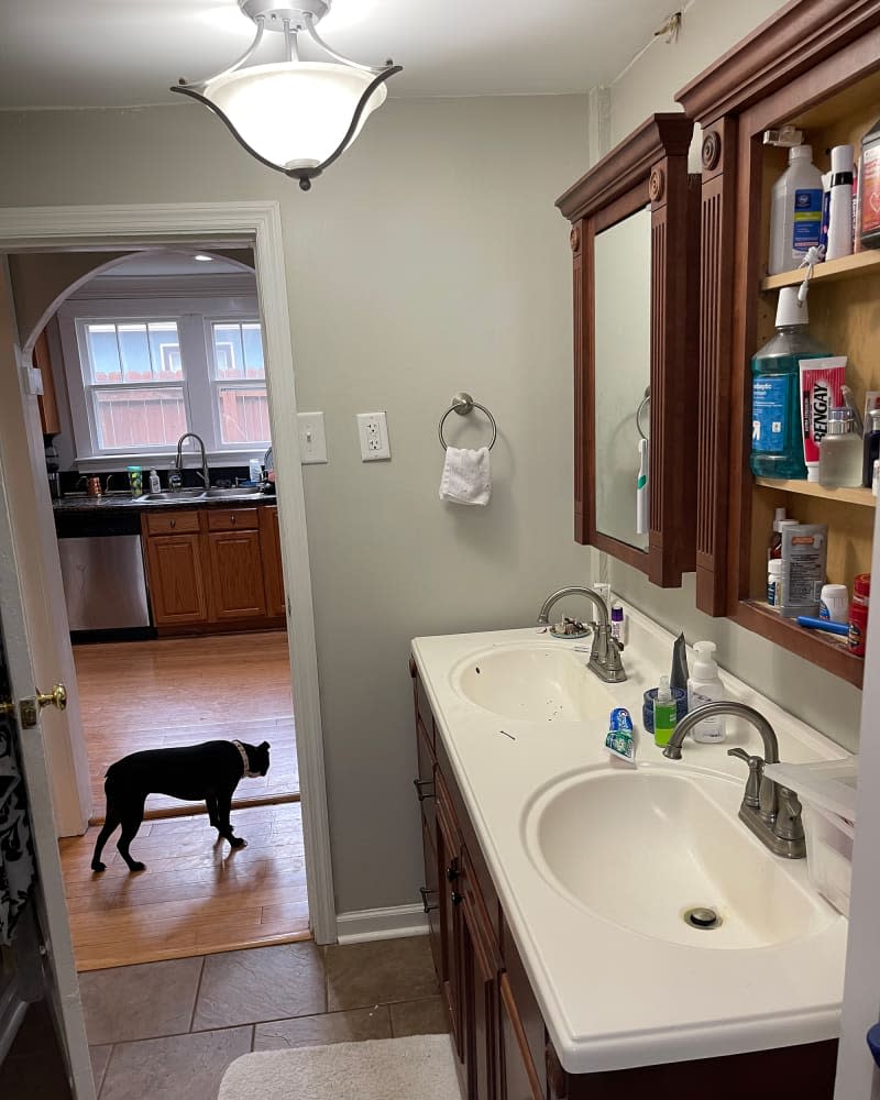 Double sink in bathroom before renovation.