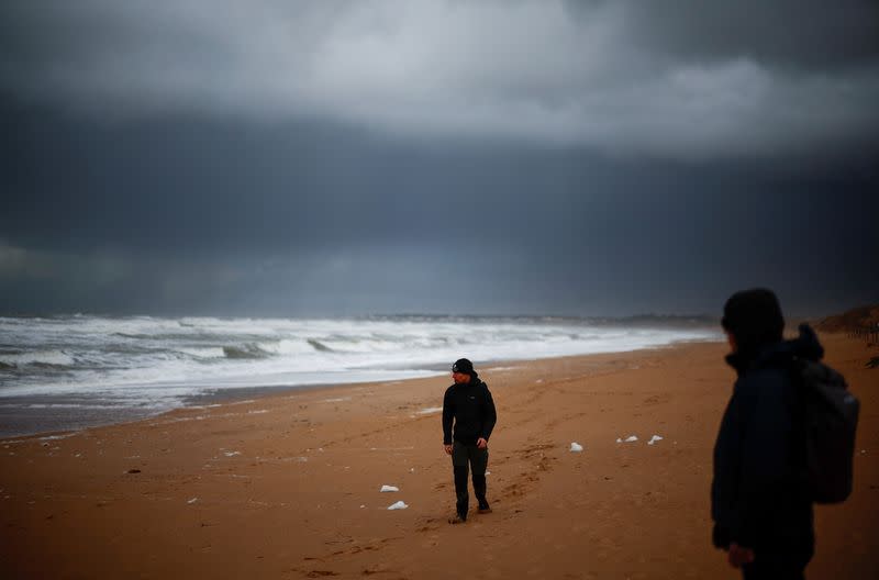 Members of Sea Shepherd France walk on a beach looking for stranded Guillemots seabirds in Bretignolles-sur-Mer