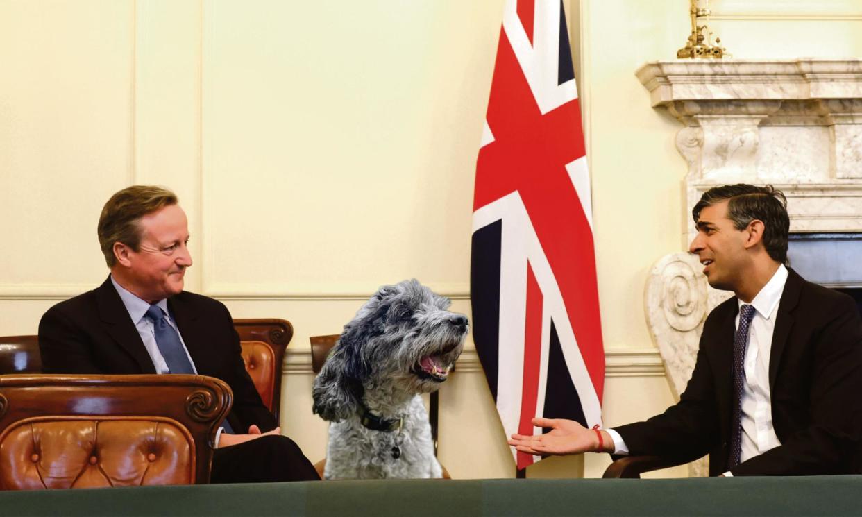 <span>‘Hi, Lord Big Dave’ … David Cameron, Herbie the cockapoo and Rishi Sunak.</span><span>Composite: Guardian Design; Simon Dawson/No 10 Downing Street; Courtesy of John Crace</span>