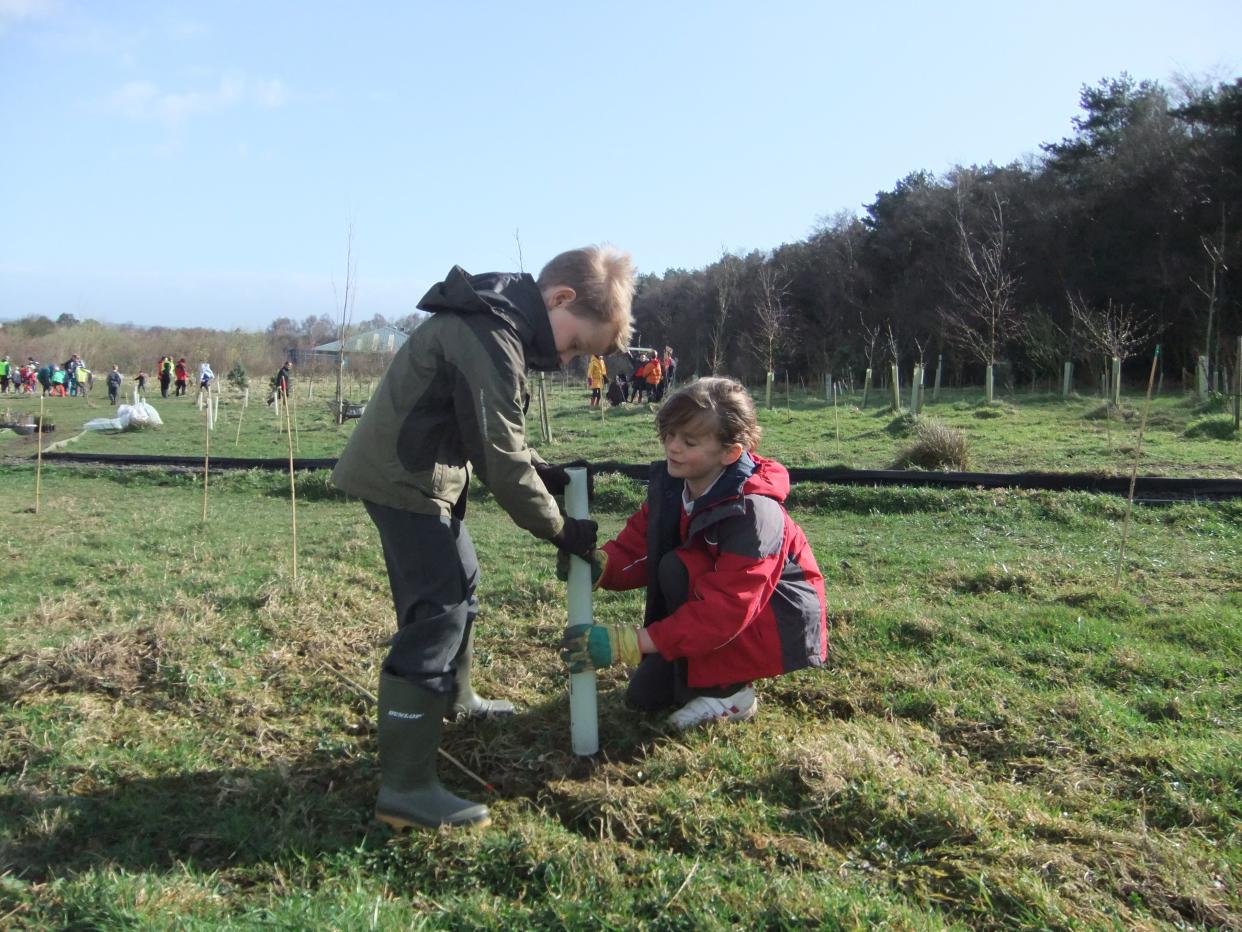 Children from Western Primary School in Harrogate planting trees in Rotary Wood in March, 2011 (Neil Hind)