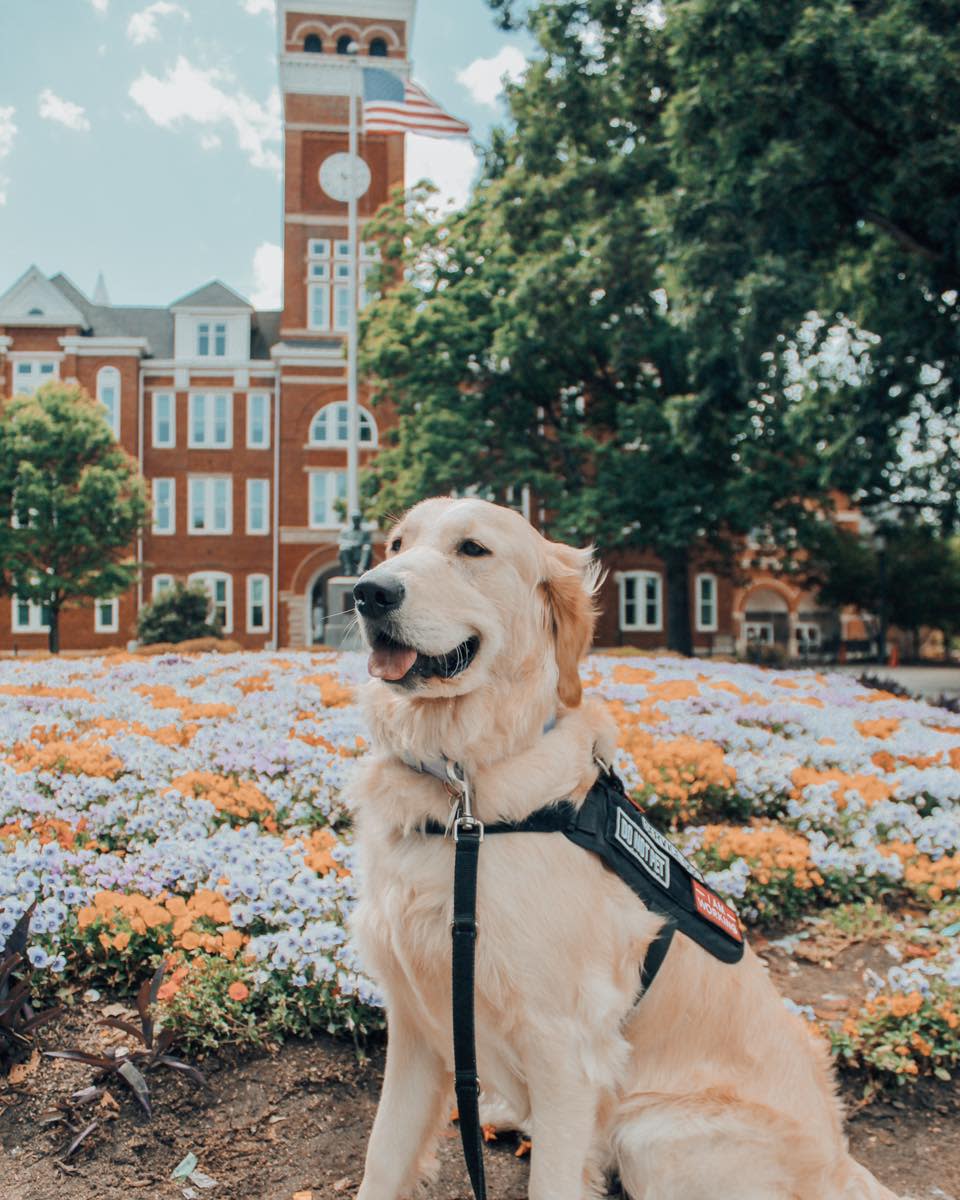 Battle Buddy Aurora poses for a picture in front of Clemson University's Tillman Hall.