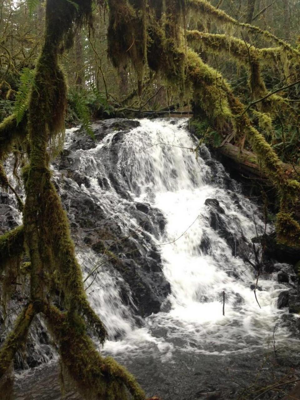 A round-trip hike to Mima Falls in Capitol State Forest can cover 6.5 miles.