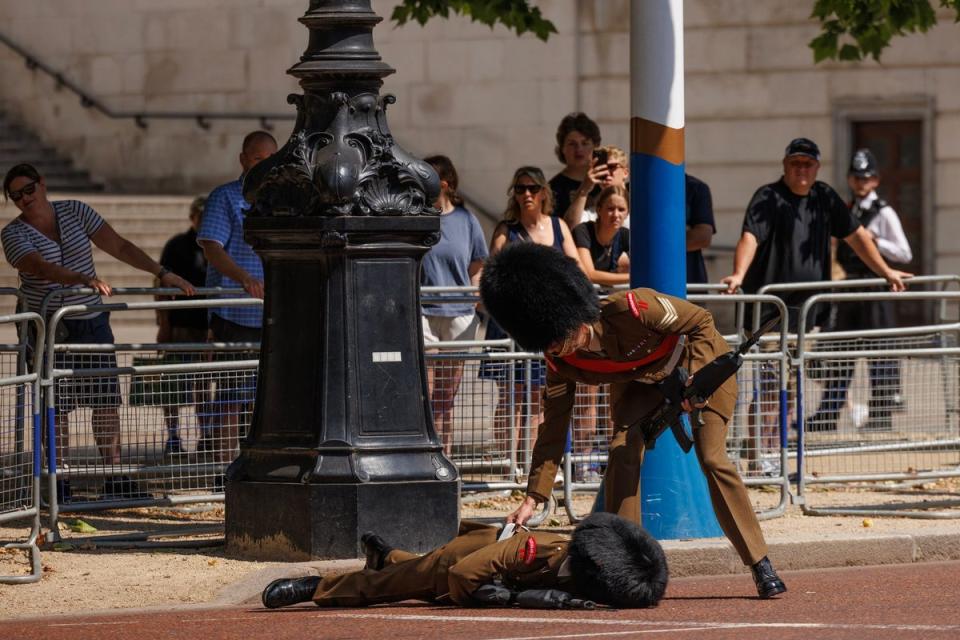 A cavalry guard passed out on the Mall (Getty Images)