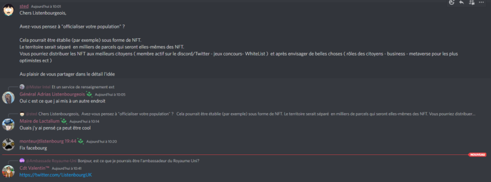 Un exemple de discussion Discord pour définir les grands chantiers de la nation listenbourgeoise.