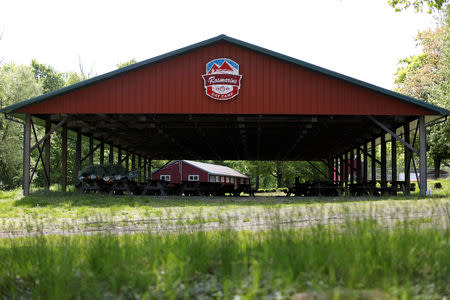 FILE PHOTO: A campers building is seen at the Rosmarins Day Camp and Cottages in Monroe, New York, U.S., May 20, 2019. Picture taken May 20, 2019. REUTERS/Mike Segar