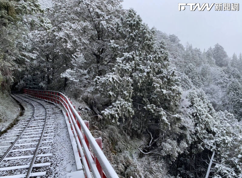 太平山今天降下入冬第一場雪，讓徹夜等待的賞雪遊客驚呼連連。（圖／林業保育署宜蘭分署提供）