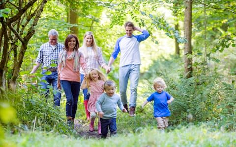 Family forest - Credit: Getty