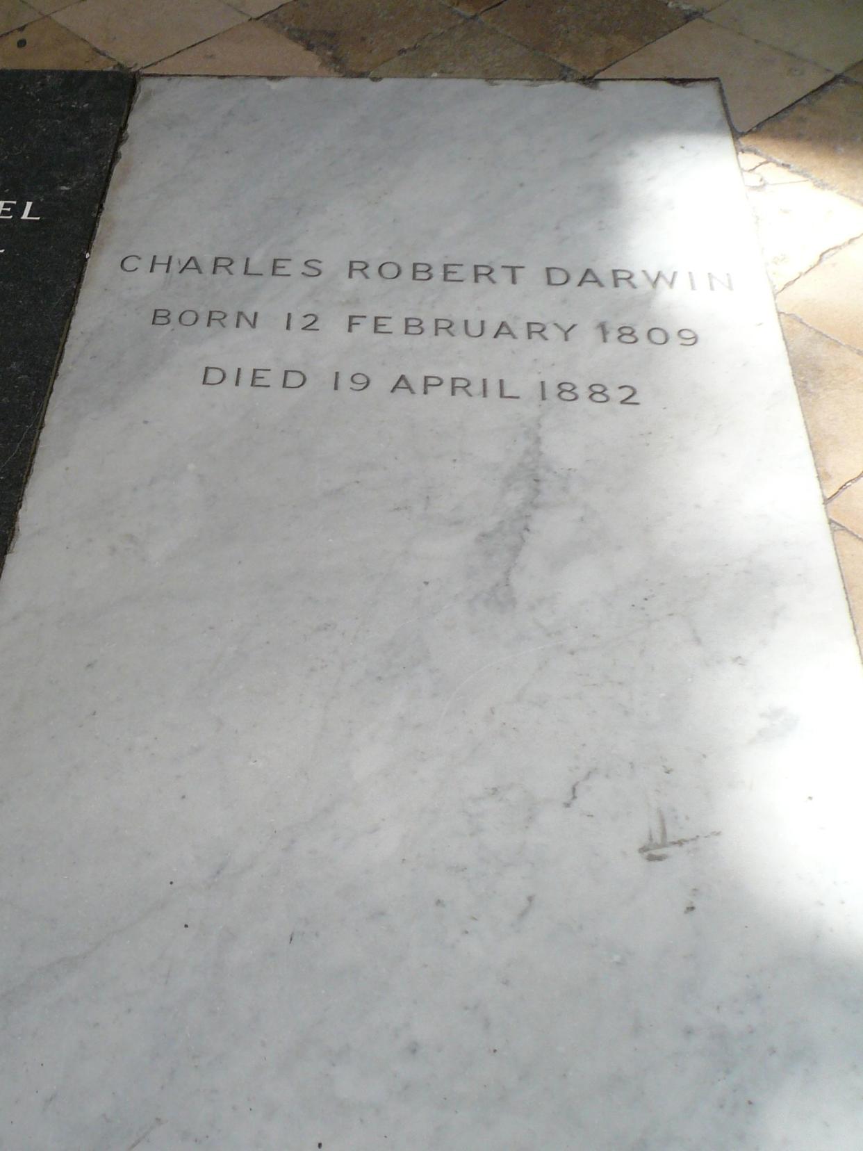 Charles Darwin's simple headstone, Westminster Abbey, London, white marble in the floor next to John Herschel's black headstone with sunlight hitting the far right of it and surrounded by tan tile