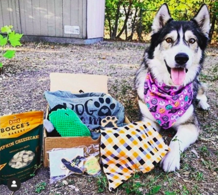 6) Dog Mom Box