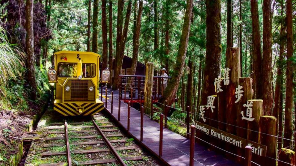 蹦蹦車是太平山森林遊樂區最具代表性的設施。（圖／ 太平山國家森林遊樂區提供）