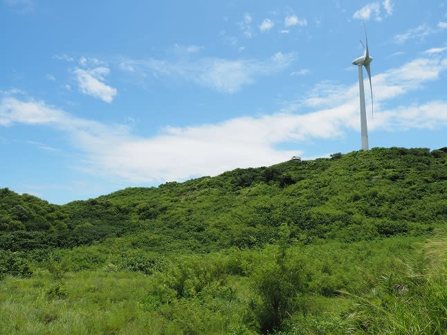 國土綠網再進擊　跨域夥伴推動後龍溪苗南保育軸帶