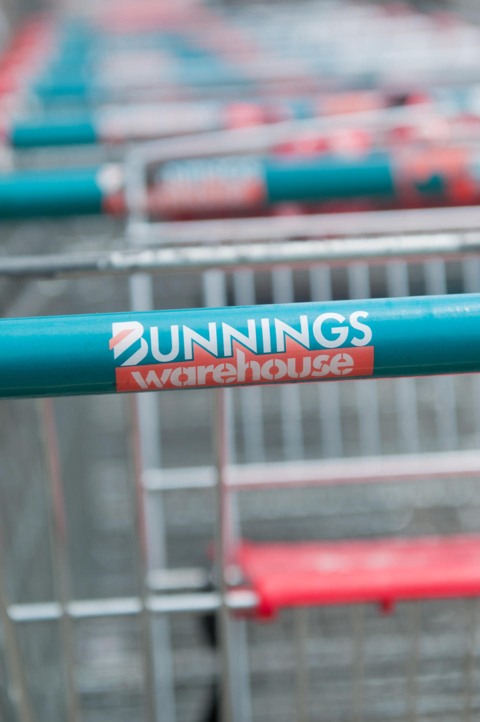 bunnings shopping trolley