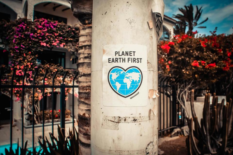 These are some of the best places to celebrate Earth Day. 
Pictured: An Earth friendly  poster on a tree during a cloudy day