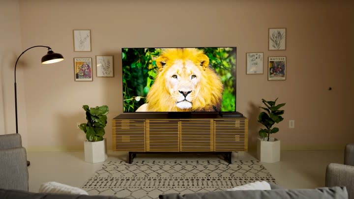 A closeup of a lion on a Samsung S95D OLED.