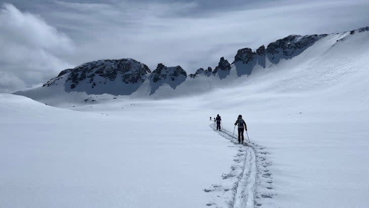 Skiers making the first tracks of the day while skinning into a bowl of powder