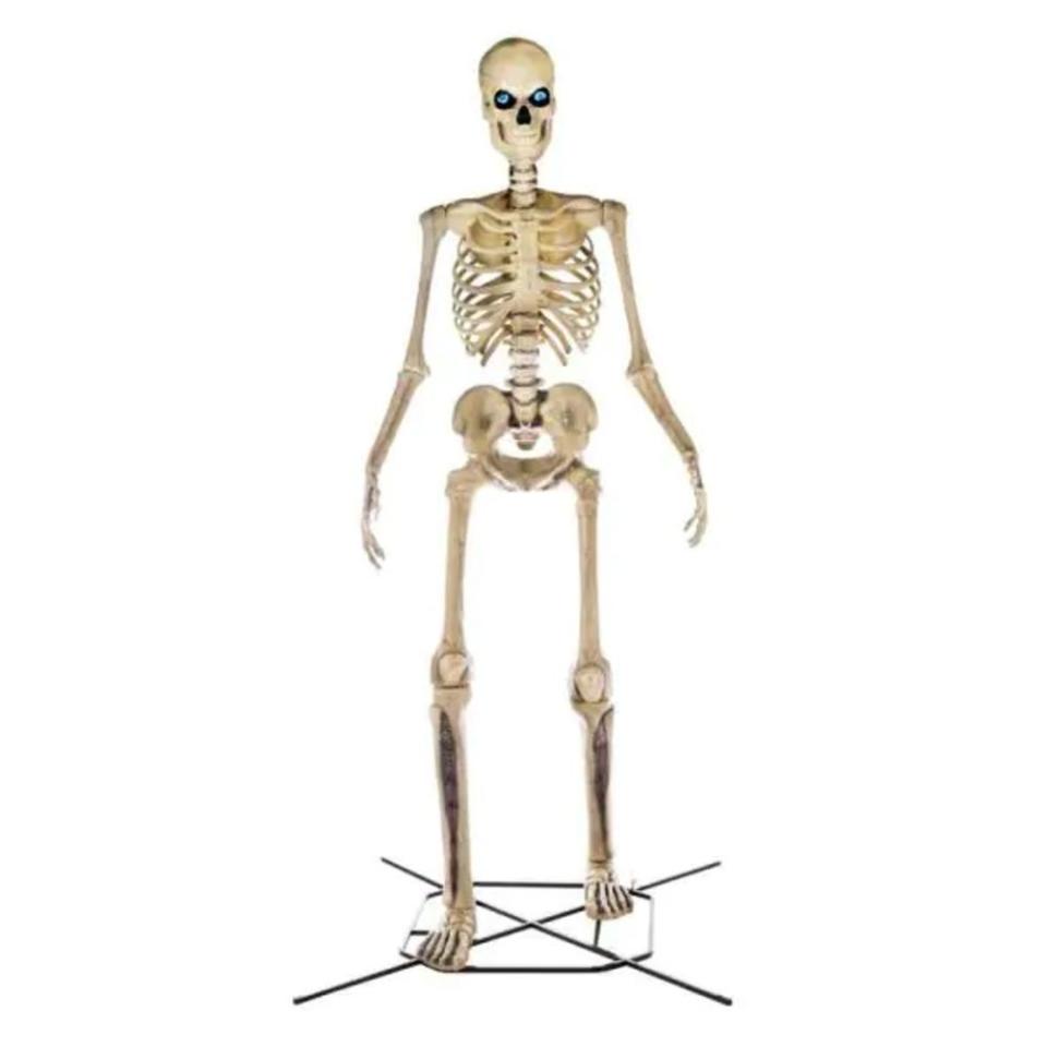 <p><a href="https://go.redirectingat.com?id=74968X1596630&url=https%3A%2F%2Fwww.homedepot.com%2Fp%2FHome-Accents-Holiday-12-ft-Giant-Sized-Skeleton-with-LifeEyes-TM-LCD-Eyes-21SV22082%2F312513260&sref=https%3A%2F%2F" rel="nofollow noopener" target="_blank" data-ylk="slk:Shop Now;elm:context_link;itc:0;sec:content-canvas" class="link ">Shop Now</a></p><p>12-Foot Skeleton With LifeEyes</p><p>homedepot.com</p>