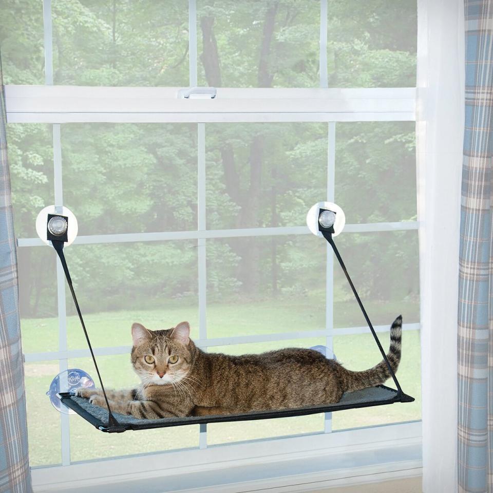 K&H EZ Mount Cat Window Perch