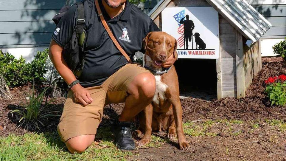 jersey mikes service dog