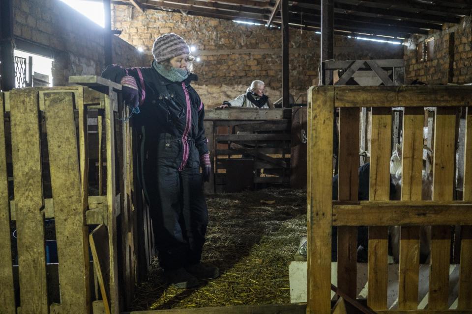 Tanya, one of the owners of the Odesa animal shelter, and a volunteer tend to the goats.