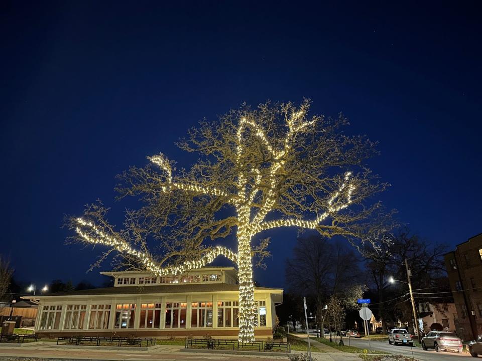 Oak Park is lit up with 10,000 white lights installed by Olson Tree Care.
