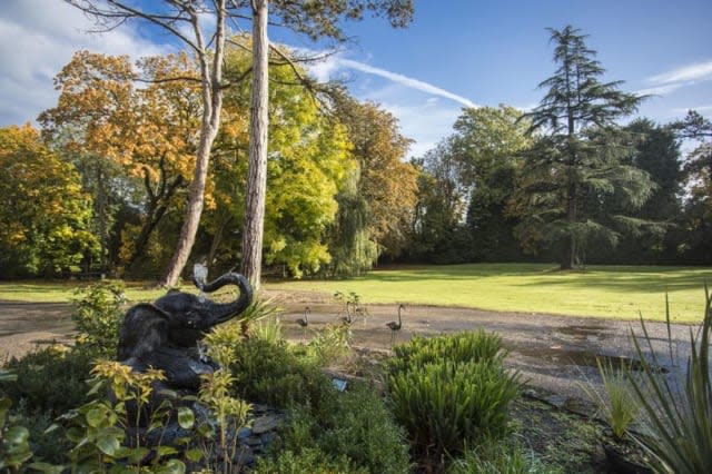 The garden of the Charlwood house