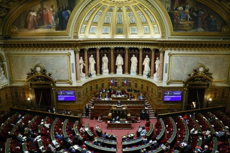Le Sénat lors d'une session le 17 décembre 2020 - Thomas SAMSON © 2019 AFP