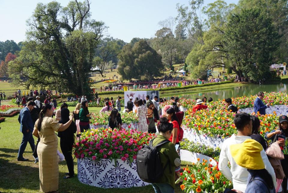 Dutch horticulturist Ibo Gülsen has designed popular "immersion" tulip gardens in China that bring tulips up to eye level.