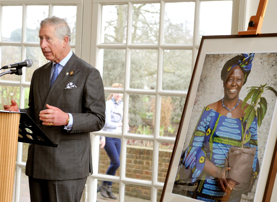 Zum Gedenken an Wangari Maathai hält Prinz Charles im Jahr 2013 eine Rede – anschließend pflanzt er einen Baum in den Royal Botanic Gardens in London. (Bild: ddp)