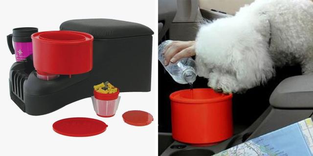 This Genius Pet Bowl Fits in Your Cup Holder, So Your Dog Can Easily Sip on  Road Trips