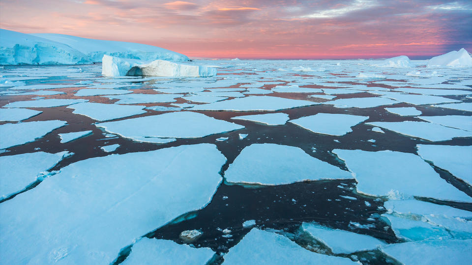 Colorful pink evening sunlight on the floating ice in the waters around the Antarctic peninsula.