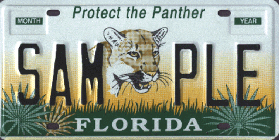 "Protect the Panther" is one of the  top 10 specialty license plates in Collier County.