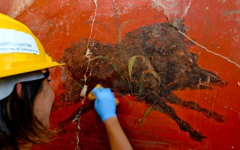 New areas of Pompeii are being excavated, bringing to light treasures such as this fresco of a wild boar - Credit: Ciro Fusco/Ansa